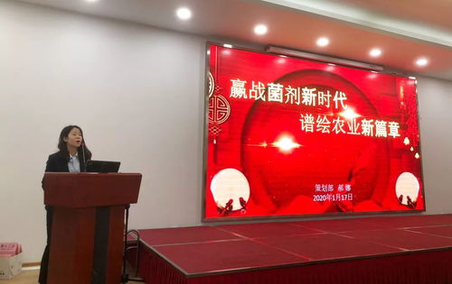 技术赋能营销 集团公司2019年度系列培训在京召开，聚焦营业性演出提质增效