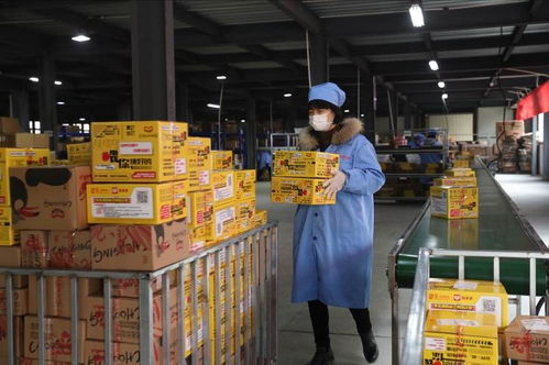 品牌牵手新电商，徽派炒货借力拼多多年货节焕发新活力